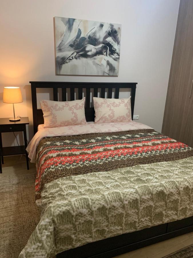 Renovated Apartment In The Center Of Larisa المظهر الخارجي الصورة
