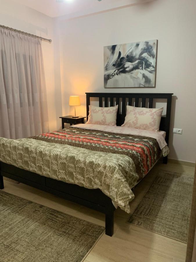 Renovated Apartment In The Center Of Larisa المظهر الخارجي الصورة